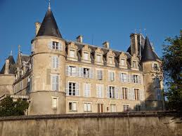 Vivre A Cossaye Chateau De Blet Chateau Chateau France Le Manoir