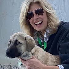 50 dogs up for adoption and ADOPTION FEES WAIVED TODAY for the Prince  William County Animal Services Bureau Kick Off Summer Event!!!‼️ Lots of  fun activities planned and who knows, you may