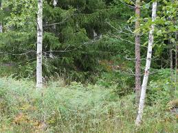 Image result for site:byggahus.se markägare