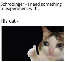 Save and share your meme collection! Schrodinger S Cat Meme