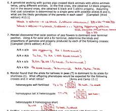 They are made the same way you make regular punnett. Practice Codominance And Incomplete Dominance Answer Key