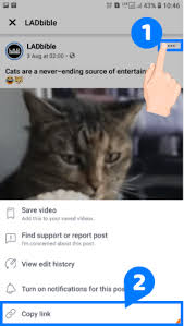 There are several apps and software let you save facebook videos on the device of your choice, including android, ios, windows, and macos. Facebook Video Downloader Download Facebook Videos Online