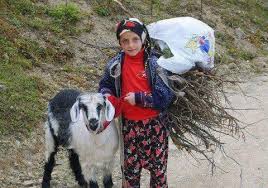 Bu Cocuklar Bizim Hayvanlar Cocuk Fotograf