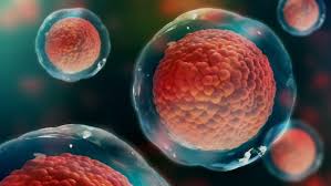 Maybe you would like to learn more about one of these? South Korean Team To Develop Nanofilm Based Cell Cage Technology Statnano