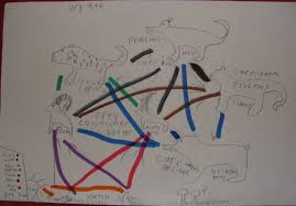 Second Grade Central Idea Plants And Animals Depend On Each Other For Survival In Their Environments Wconrad051