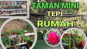 Pasalnya, kehadiran taman di dalam rumah mampu menciptakan kesan asri dan segar. Taman Mini Tepi Rumah Youtube