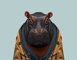 Zoo Portraits Become The Animal Zoo Animals Pet Portraits Hippopotamus