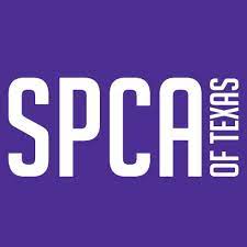 Maybe you would like to learn more about one of these? Spca Of Texas Spcaoftexas Twitter