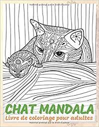 Chat Mandala Livre De Coloriage Pour Adultes Vezina Mia Amazon Co Uk Books