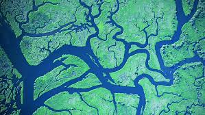 As i was reading today i wondered what the difference is between a brook and a creek. Stream Order The Classification Of Streams And Rivers