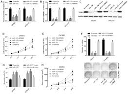 Ovarian, fallopian tube, & primary peritoneal cancer screening. Mir 152 Is Involved In The Proliferation And Metastasis Of Ovarian Cancer Through Repression Of Erbb3