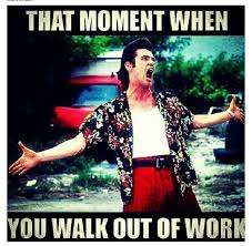 Free At Last Funny Pictures Hilarious Humor