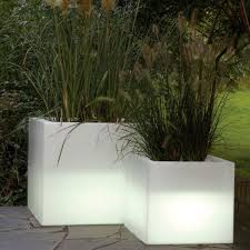 See more ideas about floor plants, plants, potted olive tree. Serralunga Cubotti Illuminated Outdoor Planter Lighted Planter Homeinfatuation Com
