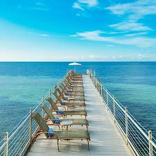 Best western hibiscus motel, key west. Hotel Best Western Hibiscus Key West Trivago Com