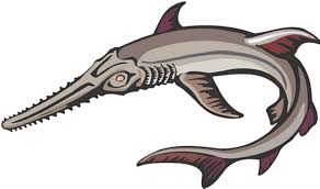 New horizons switch (acnh) in this guide. Sawshark Teeth For Sale Shark Teeth For Sale