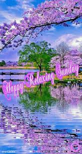 Nice nature good morning happy sunday. Pin By Shakil Alwaswasi On Happy Sunday Sunday Wishes Sunday Greetings Happy Sunday Morning