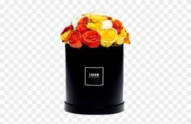 Sie sind dafür zuständig das man über einen wunsch nachdenkt✨. Picture Of You Are My Sunshine Flower In Box Png Transparent Png 600x600 5485509 Pngfind