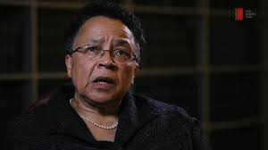 Celebrating 5 role models championing ethnic diversity in the legal  profession