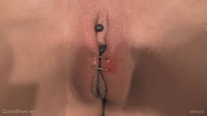 Queensnake: Hard pussy sealed - ThisVid.com