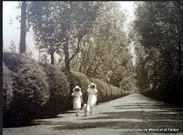 Más juegos recreativos para niños. Como Era La Ciudad De Mexico De Los Anos 20 Fotos