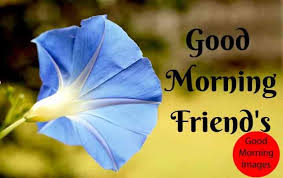 Download and use 20,000+ good morning stock photos for free. 1 Good Morning Images For Greetings And Wishes 2021