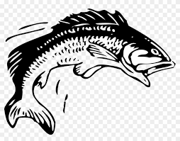 Download this free picture about clipart fish sea from pixabay's vast library of public domain images and videos. Fish Black And White Drawing At Getdrawings Group 11 Rugby League Free Transparent Png Clipart Images Download