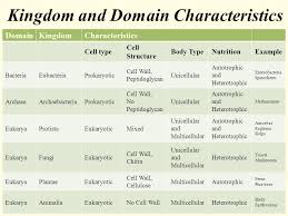 Animal Kingdom Classification Kingdom Characteristics Chart