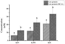 Here are 6 possible meanings. Molecules Free Full Text Determination Of Branched Chain Keto Acids In Serum And Muscles Using High Performance Liquid Chromatography Quadrupole Time Of Flight Mass Spectrometry Html