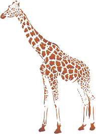 But if you are looking for other giraffes templates we encourage you to check free giraffe powerpoint templates here. Amazon Com Giraffe Stencil 10 X 14 Inch M African Wild Animal Stencils For Painting Template