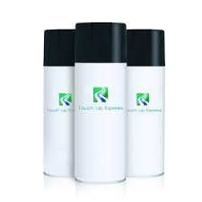 Image result for Patriot Blue 2003 Caravan