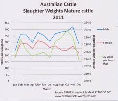 Australian Beef Slaughter Cattle Producer Nt