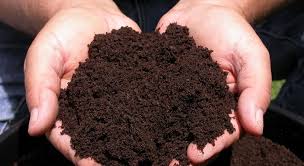 After one week, you can then use the water as a liquid fertilizer. Worm Castings Best For Cannabis Growth Drcannabis