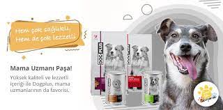 dogplus kopek