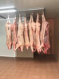 Livrari ), cu plata numerar la livrare. Ø±Ø¨Ø§Ø¹Ù Ø§ÙØ³Ø·ÙØ­ Ø§Ø®ØªØ±Ù Ø§ÙØ¹Ø²ÙØ² Pret Carcasa Porc Dtmstore Com