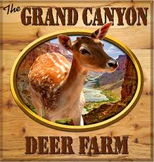 Greetings and welcome to flamig farm, home of the big backwards eggs sign in west simsbury, ct. Deer Farm And Petting Zoo Grand Canyon Deer Farm