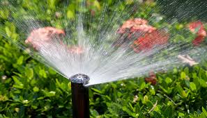 Having an automatic plant watering system is one of those gadgets that help make daily life just a. Is An Irrigation System Right For You