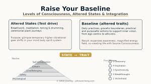 Image result for Level of Consciousness