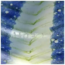 Image result for Seagate Blue 1930 Nash