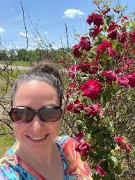 I just had to share this breathtaking rose bush 😍