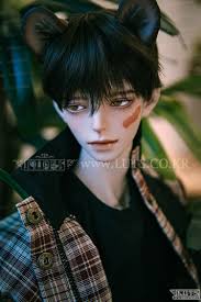 Super Senior Delf DAWN head Limited