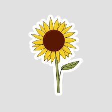 * this is an instant sticker page! Colorful Hand Drawn Sunflower Sticker 3256880 Vector Art At Vecteezy