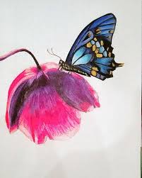 Work In Progress Butterfly On Flower Drawing With Prismacolor Colored Pencils Later I Will Add Some Background Wip Wo Flower Drawing Drawings Butterfly Art