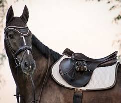 Maybe you would like to learn more about one of these? Eskadron Heritage Greige Havana Brown Cheval