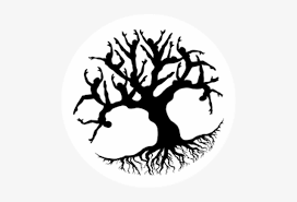 Maybe you would like to learn more about one of these? Tree Roots Silhouette Wall Art Sticker Argent Png Image Transparent Png Free Download On Seekpng