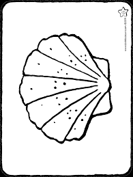 Muschel ausmalbilder malvorlagen lange leere muschel ausmalbild malvorlage tiere. Muschel Kiddicolour