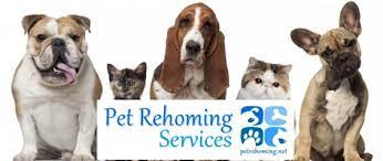 Private Altoona Pet Rehoming Services - Rehome A Dog Cat Puppy Kitten In Altoona Pa