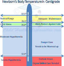 newborn nursing answers newborn care concerns