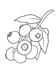 Children love to know how and why things wor. Blueberry Coloring Page For Print Free Blueberries Are Small Fruit Rich Fruits That Are Rich In Coloring Pages Printable Coloring Pages Hello Kitty Coloring