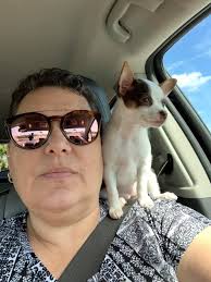 My friends and I went ___ a drive! for to