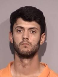 Show Low Police felony arrests